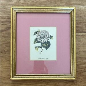 Vintage Gold Framed Camellia Art Print
